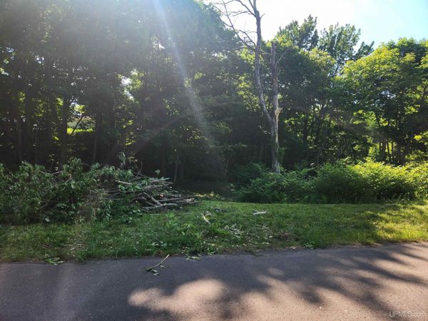 TBD 2 and 3 L Avenue, Torch Lake Twp, MI 49934