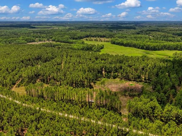 0000 NE Waters Pond Rd, Chiefland, FL 32626