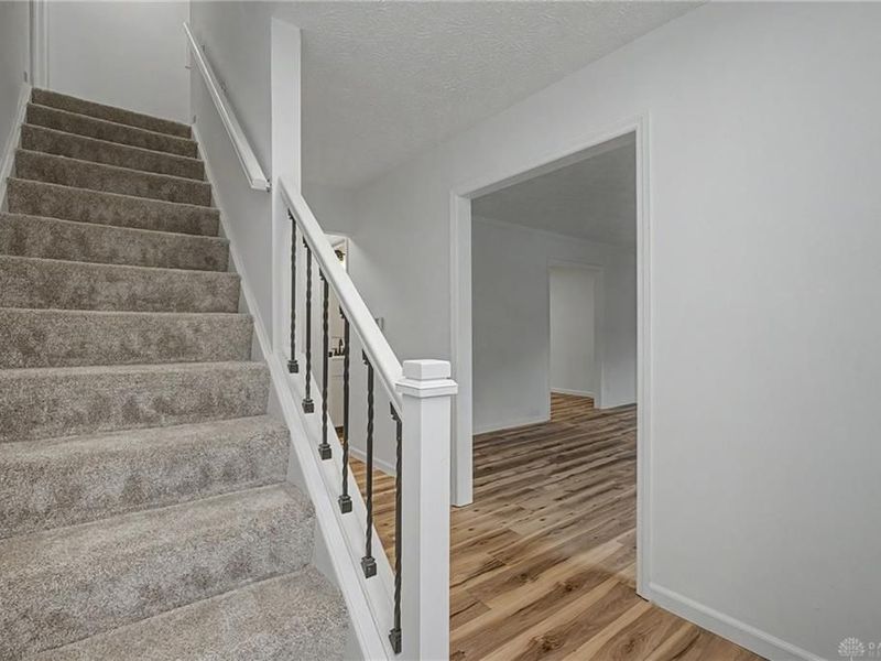 15 Jacamar Court, Springboro, OH 45066 Photo 6