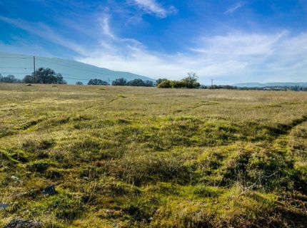 1019 Highway 49, San Andreas, CA 95249 Photo