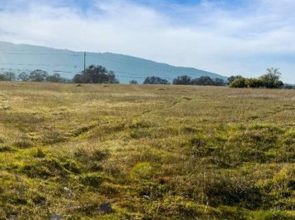 1019 Highway 49, San Andreas, CA 95249 Photo