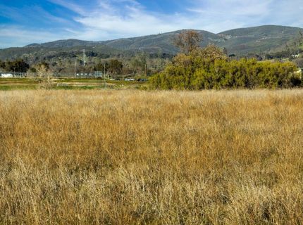 1019 Highway 49, San Andreas, CA 95249 Photo