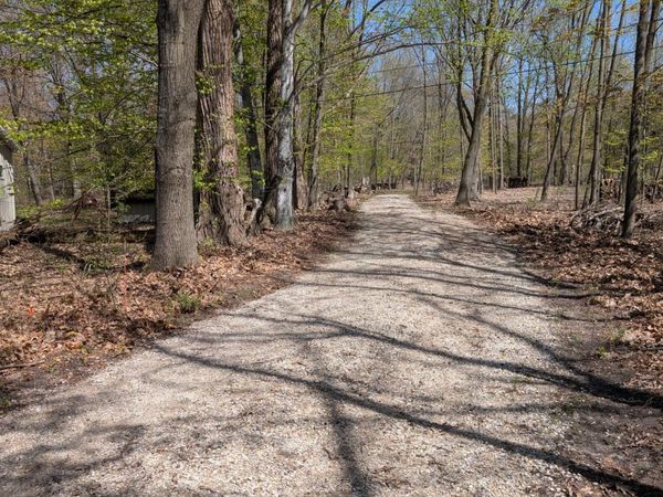 8941 S East Torch Lake Drive, Alden, MI 49612