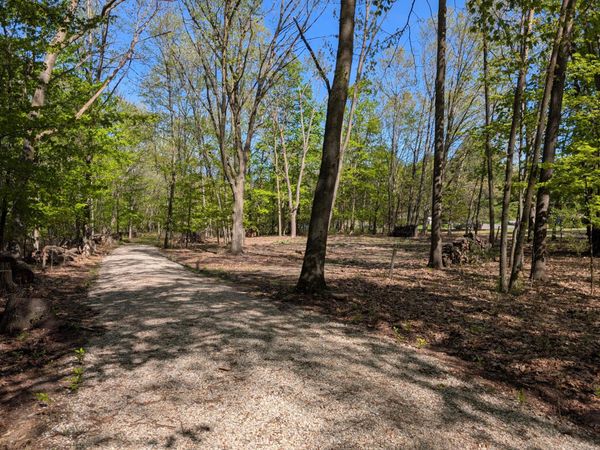 8933 S East Torch Lake Drive, Alden, MI 49612