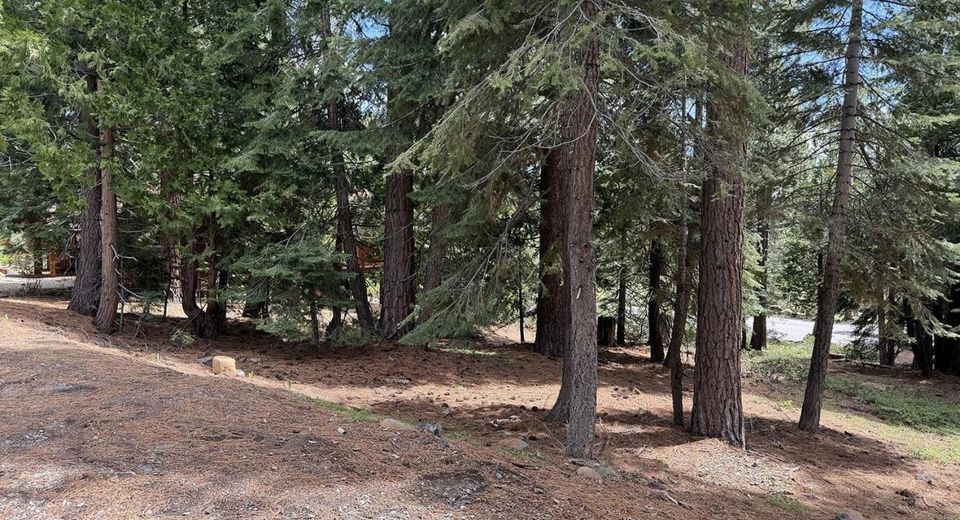 1420 Canterbury Drive, Kings Beach, CA 96143 Photo
