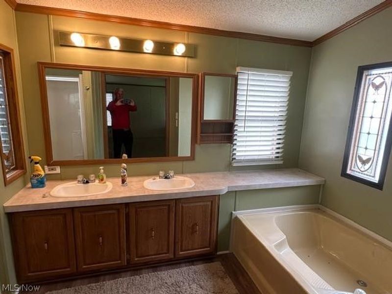 711 Brookside Drive, Wellington, OH 44090 Photo 11