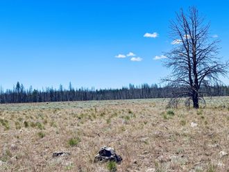 0 White Birch Lane Bly, OR 97622