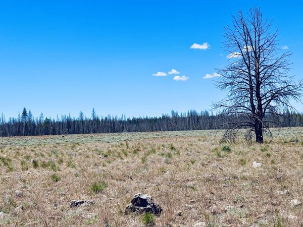 0 White Birch Lane, Unit Lot 4, Bly, OR 97622