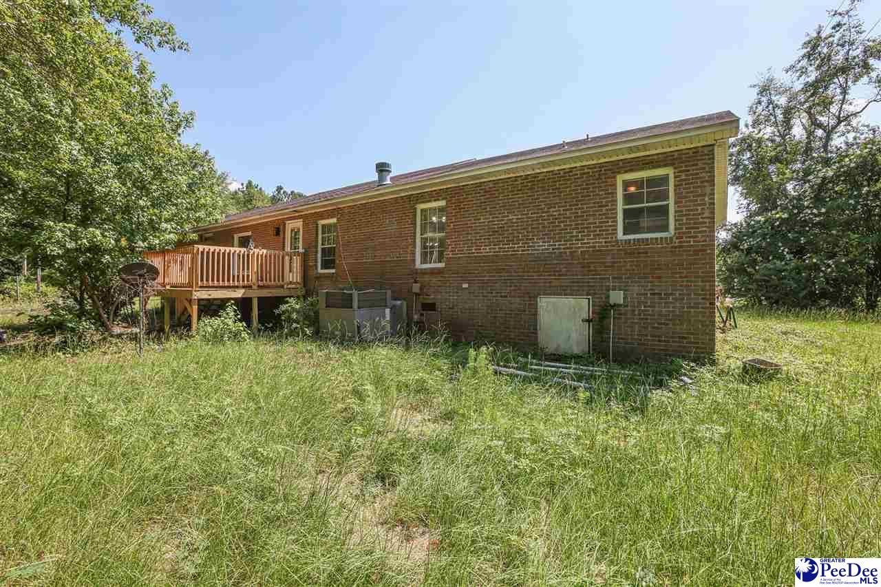164 Joy Road Photo 39