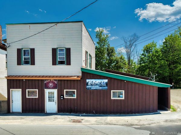 21 Edgar Street, Liberty, NY 12754