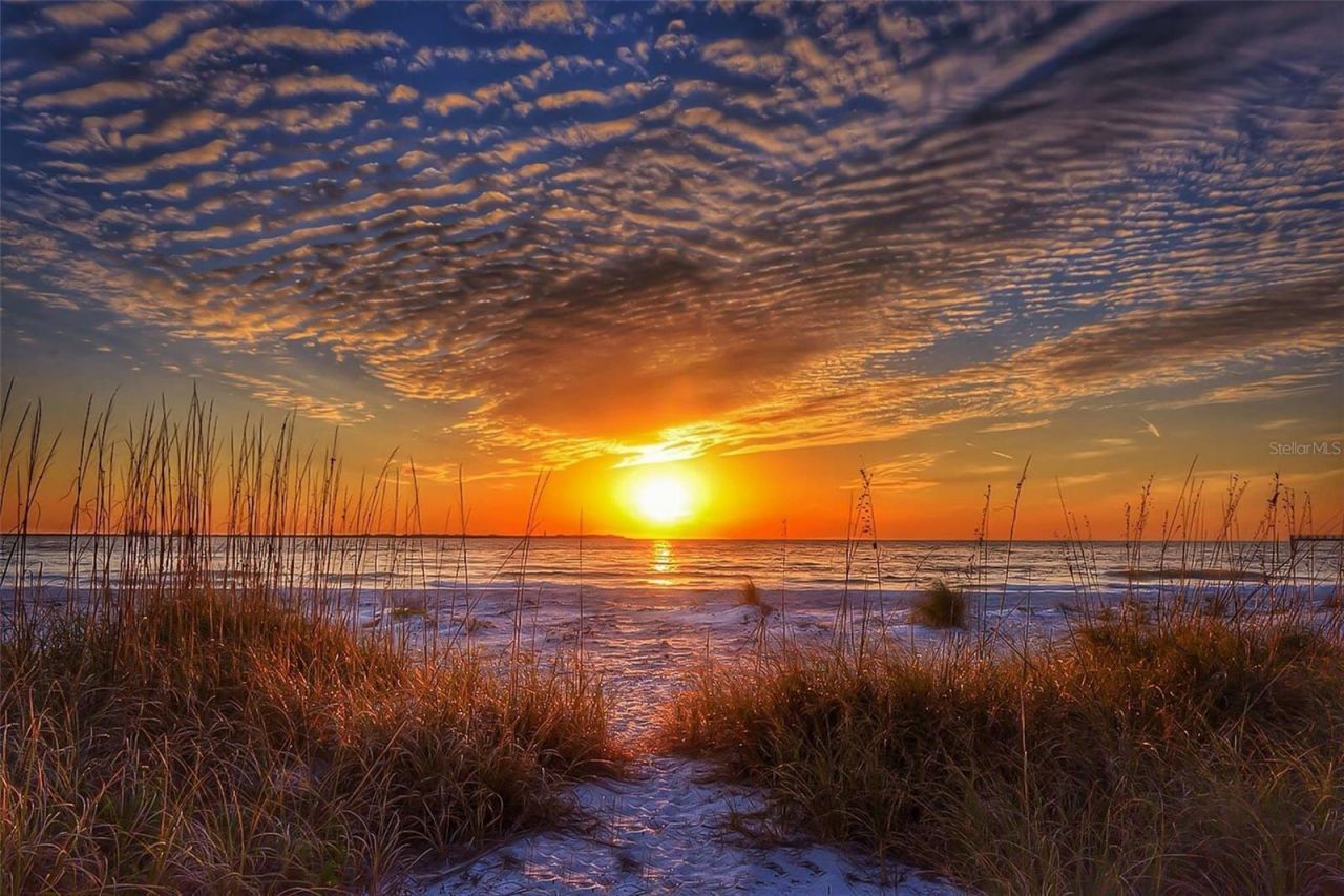 16333 Gulf Boulevard, Unit 113, Redington Beach, FL 33708 Photo