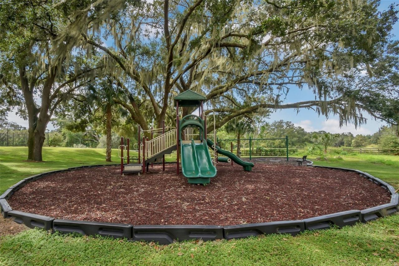 24215 Weldon Drive , Eustis, FL 32736 Photo