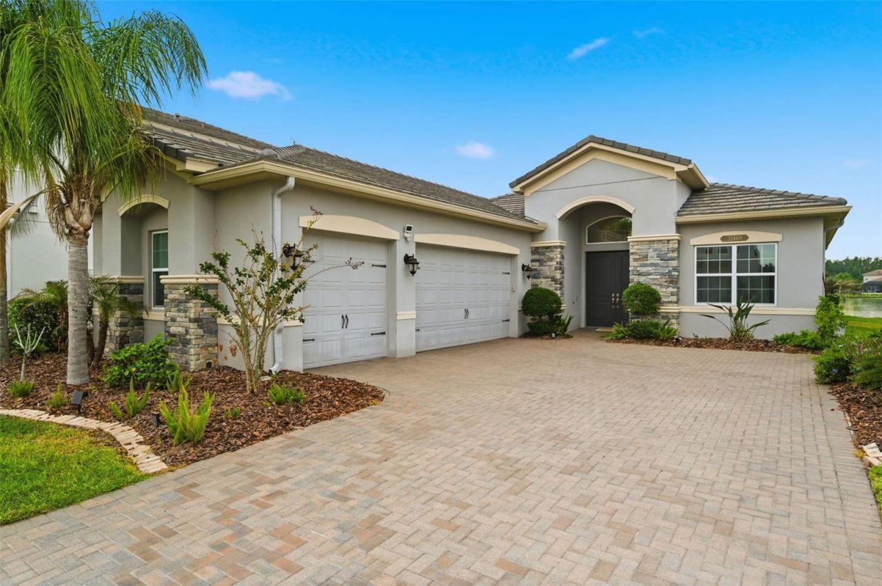 31469 Chesapeake Bay Drive, Wesley Chapel, FL 33543 Main Photo
