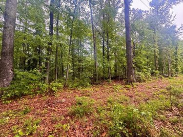 72-75 Henry Drive, COLES POINT, VA 22469