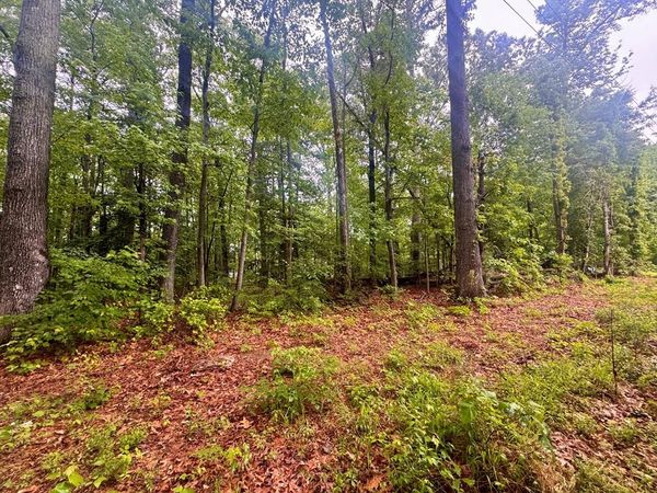 72-75 Henry Drive, COLES POINT, VA 22469