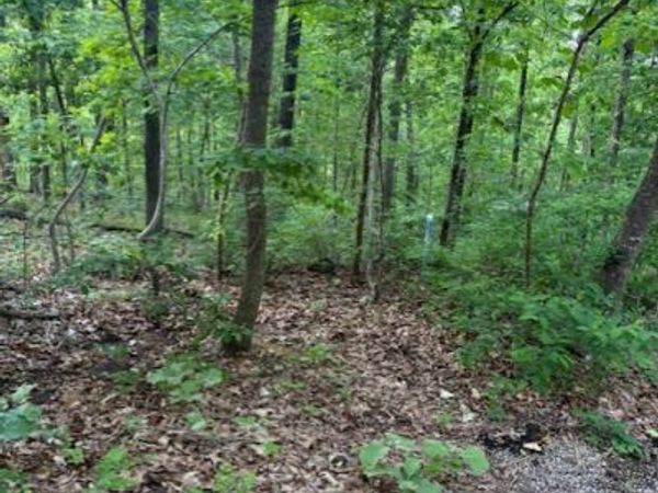 Eston Lane , Bella Vista, AR 72714