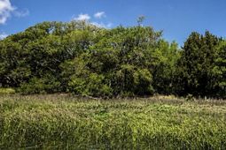 4001 Buccaneer Road photo 4