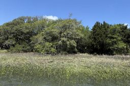 4001 Buccaneer Road photo 4