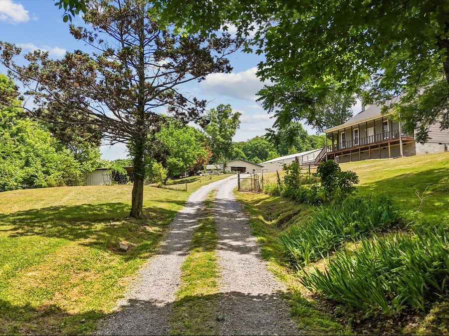 Property Image 34