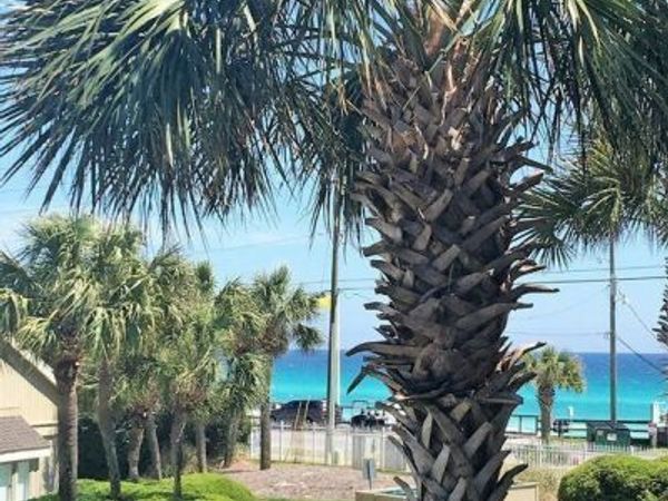 86 S Driftwood Bay, UNIT 162, Miramar Beach, FL 32550