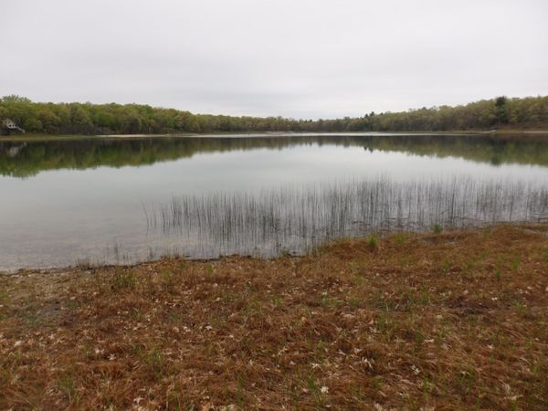 Hardwood Drive, Free Soil, MI 49411