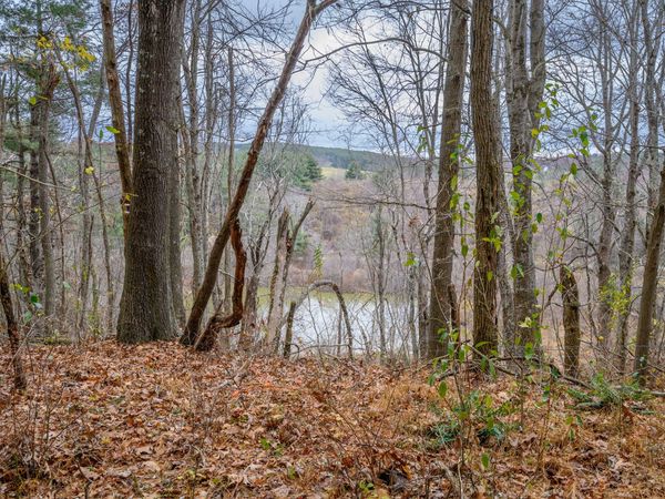 595 Wild Cherry RD NE, Pilot, VA 24138