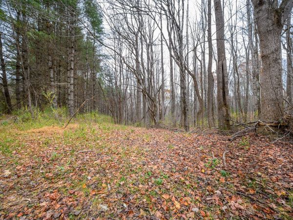 621 Wild Cherry RD NE, Pilot, VA 24138