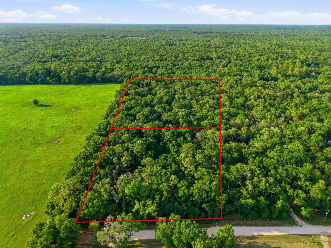 9291 NW 127th Place, Chiefland, FL 32626 Photo
