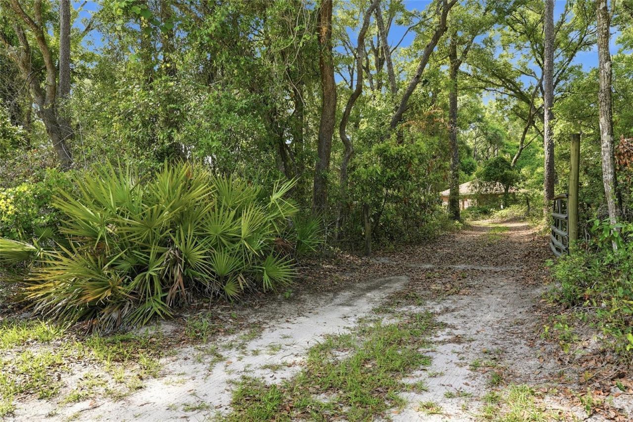 9291 NW 127th Place, Chiefland, FL 32626 Photo