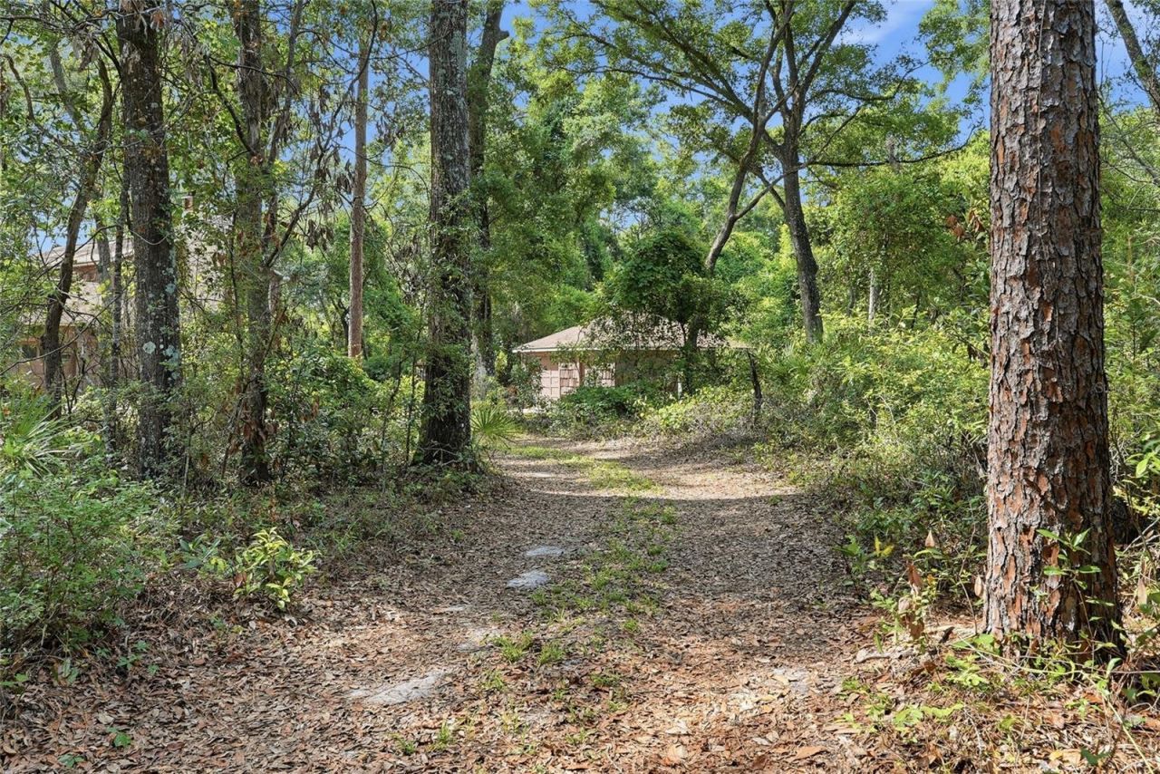 9291 NW 127th Place, Chiefland, FL 32626 Photo