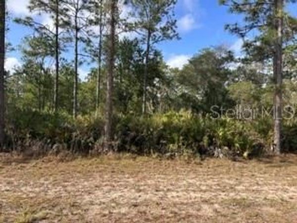 1013 (BLK 299 LOT 18) ALBA DRIVE , INDIAN LAKE ESTATES, FL 33855