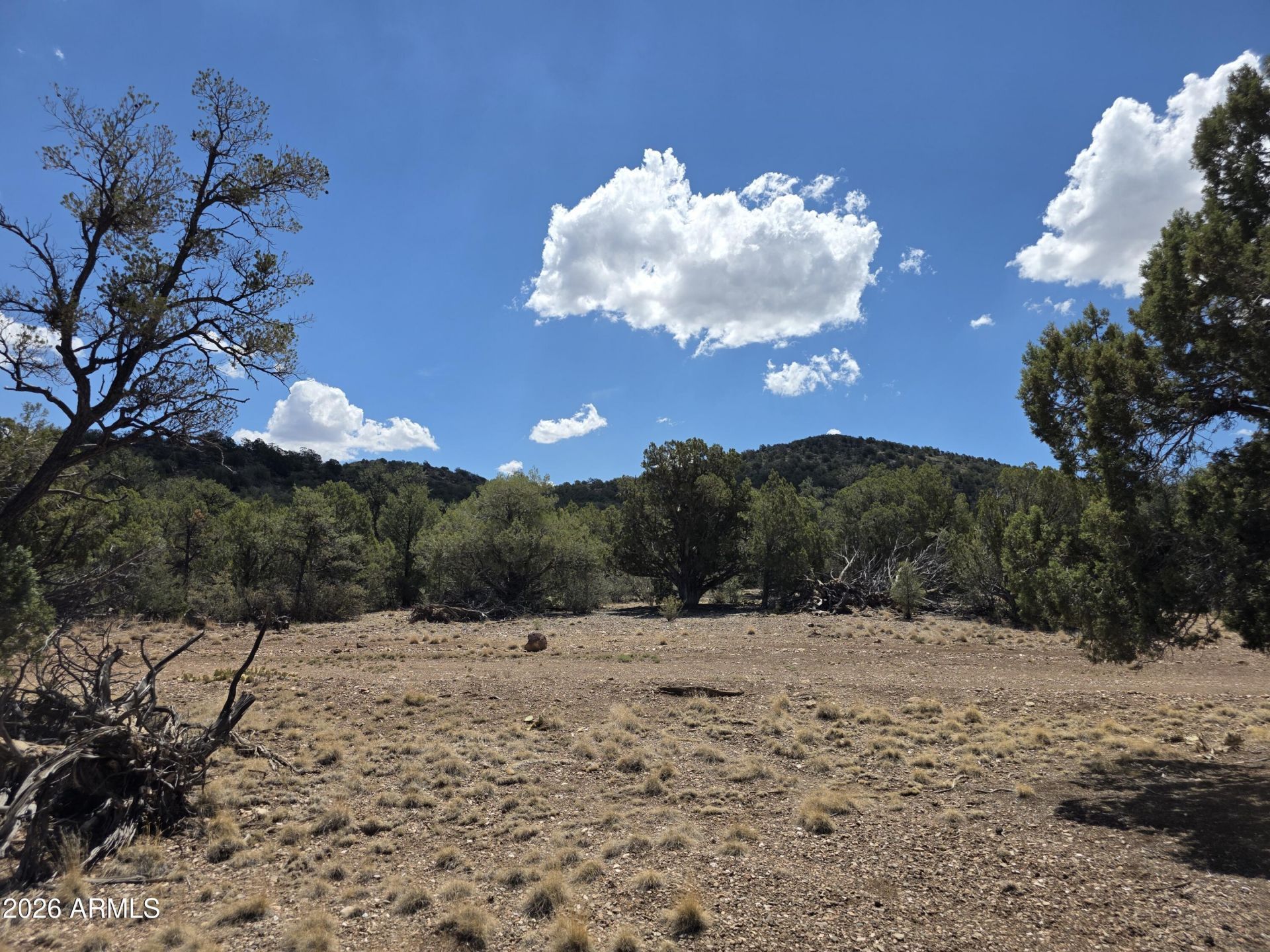 824 Seligman Yavapai County, Seligman, AZ 86337