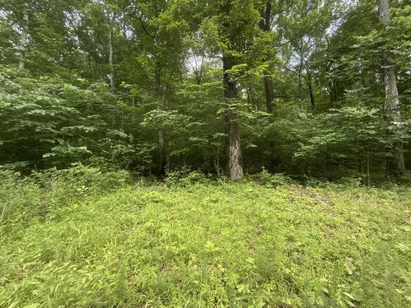 0 Caney Branch Rd, Unit 13, Stewart, TN 37175