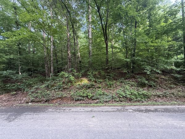 0 Caney Branch Rd, Unit 23, Stewart, TN 37175