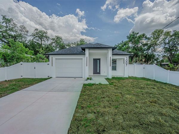 1007 E ESKIMO AVENUE , TAMPA, FL 33604