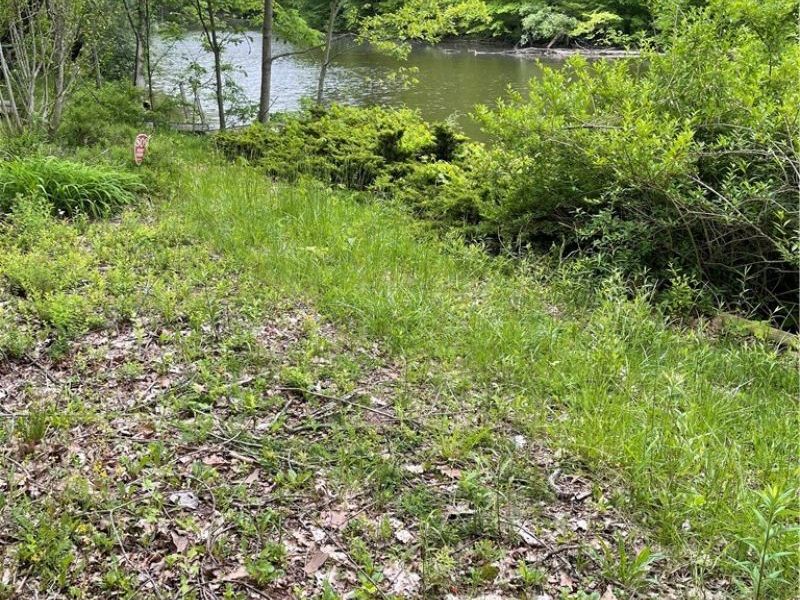 18081 Mill Road, Berlin Center, OH 44401 Photo 2
