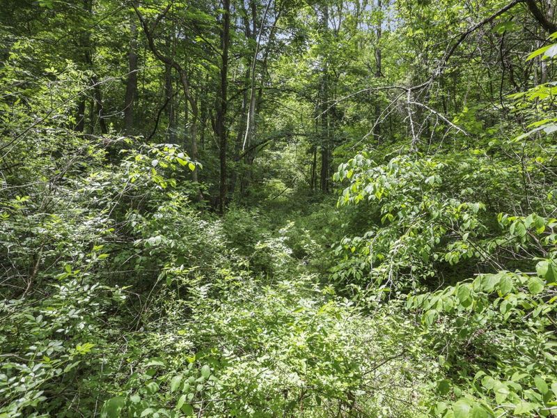 11912 State Route 691, Nelsonville, OH 45764 Photo 49