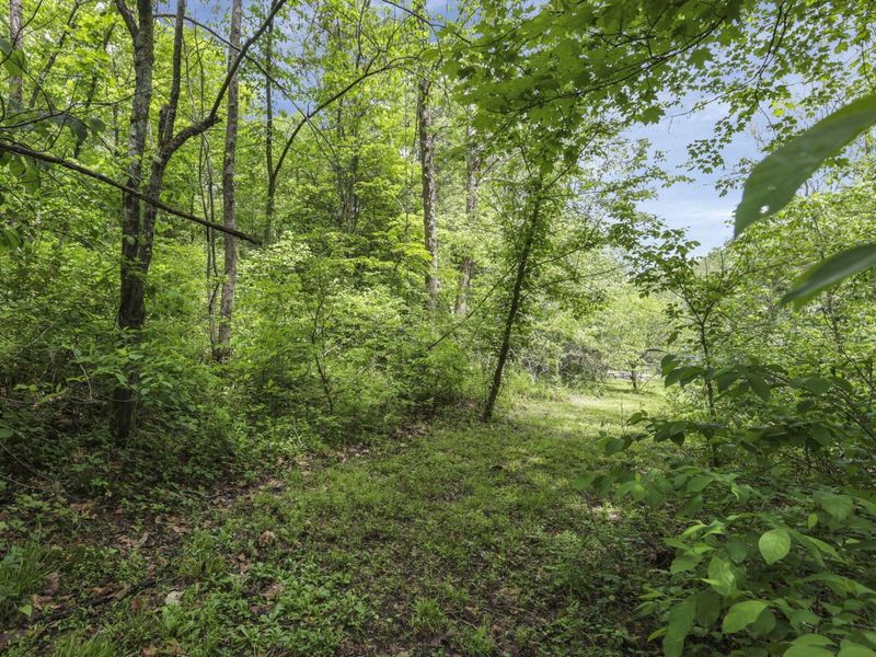 11912 State Route 691, Nelsonville, OH 45764 Photo 50