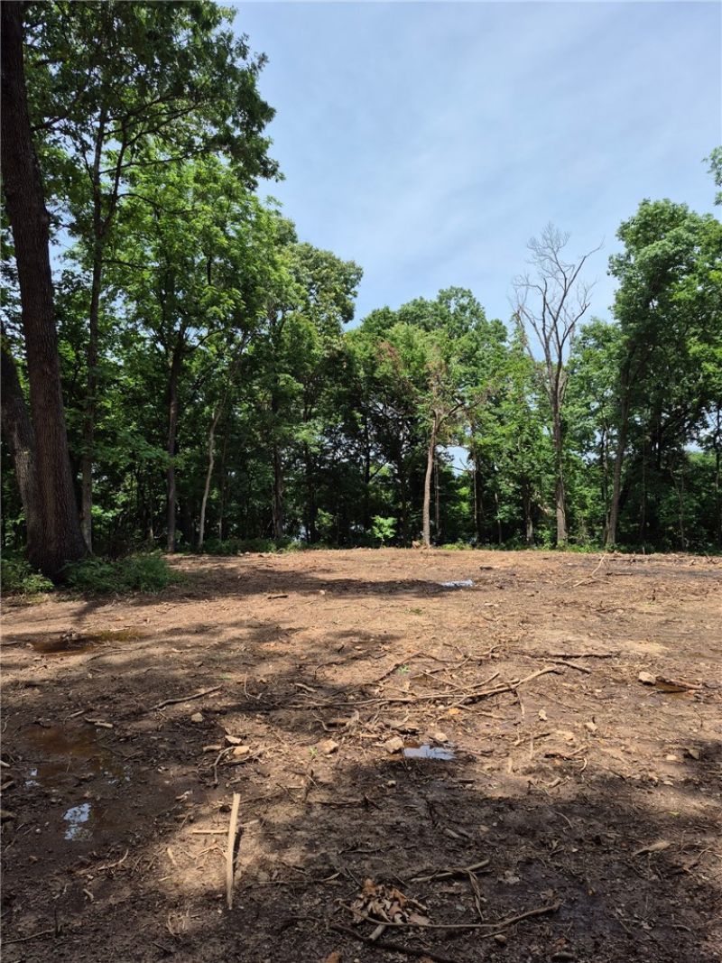 Tbd Wesley, Gentry, AR 72734 Main Photo