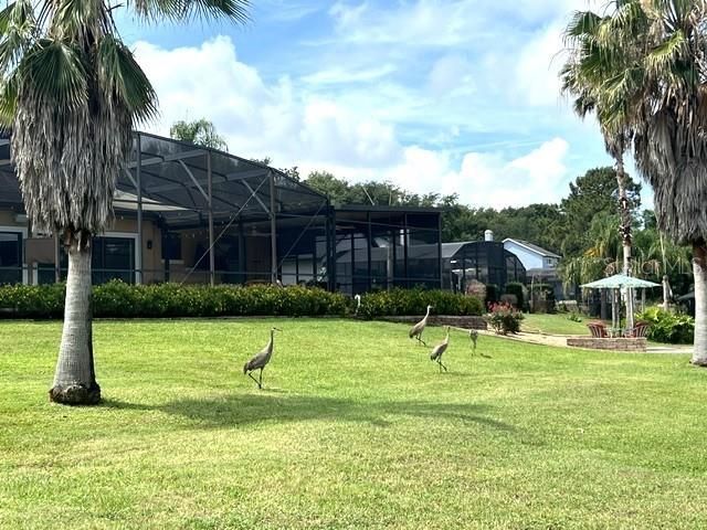 11325 Preston Cove Road, Clermont, FL 34711 Photo