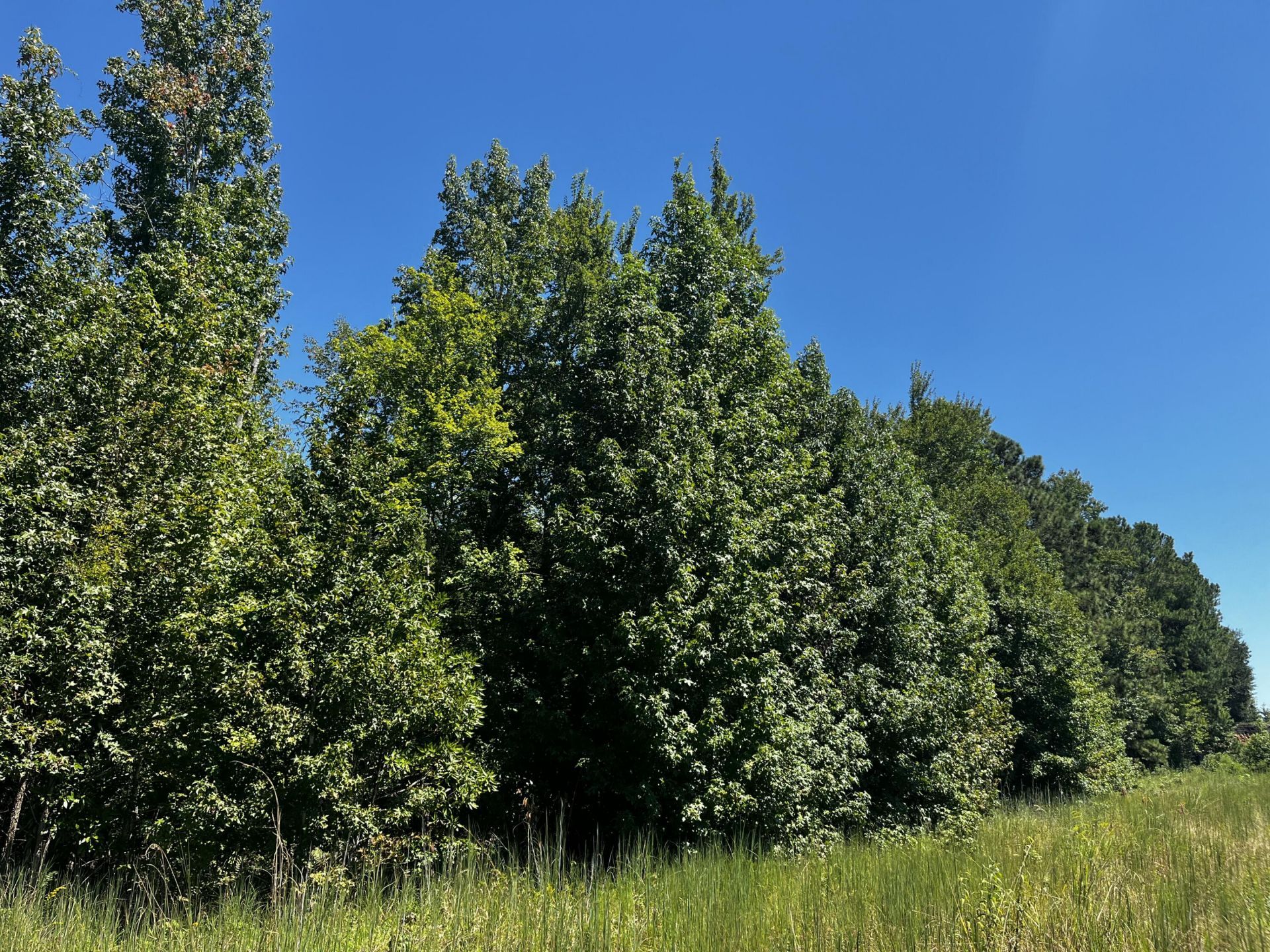6900 Us-278 Photo 11