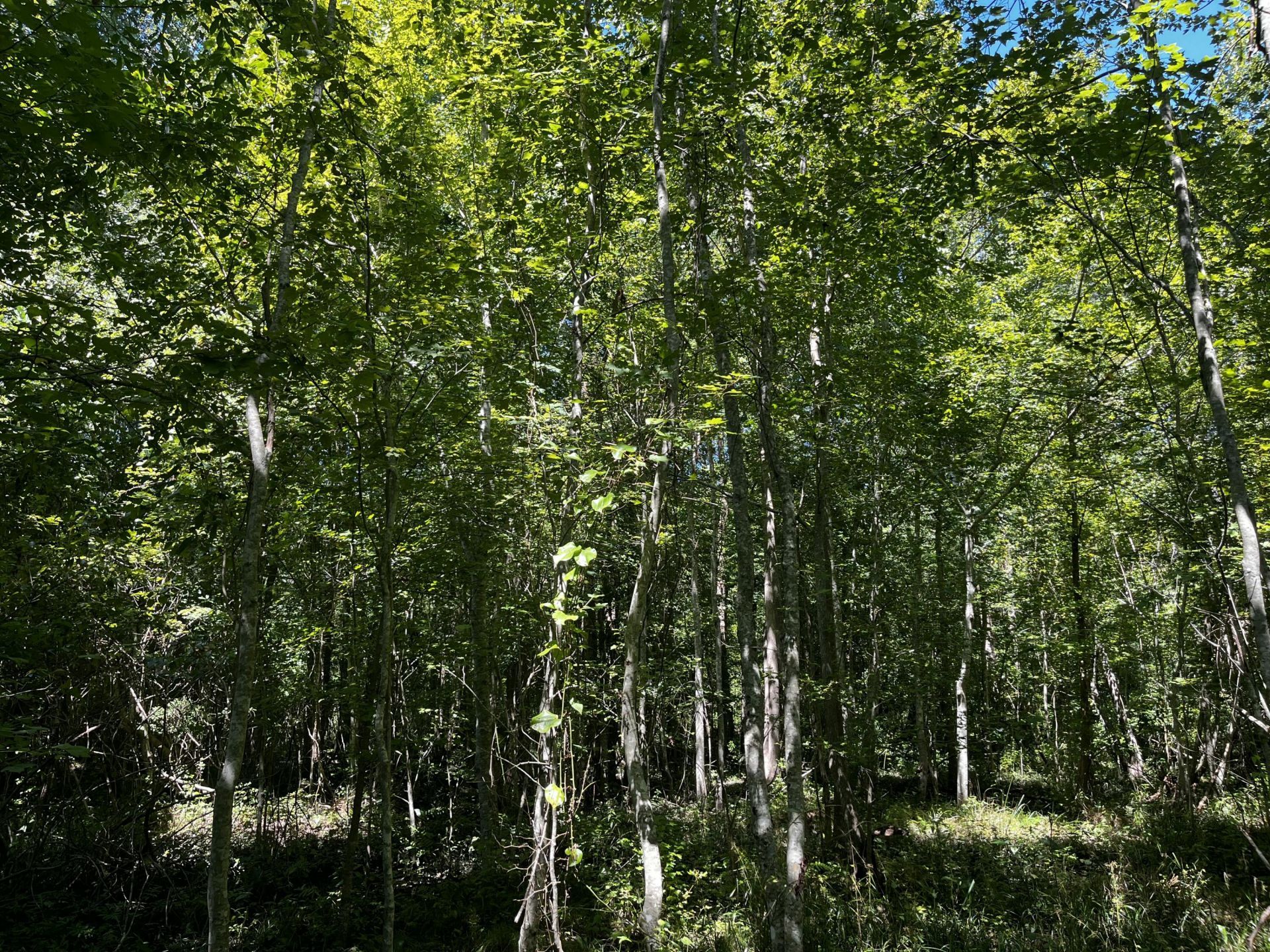 6900 Us-278 Photo 24