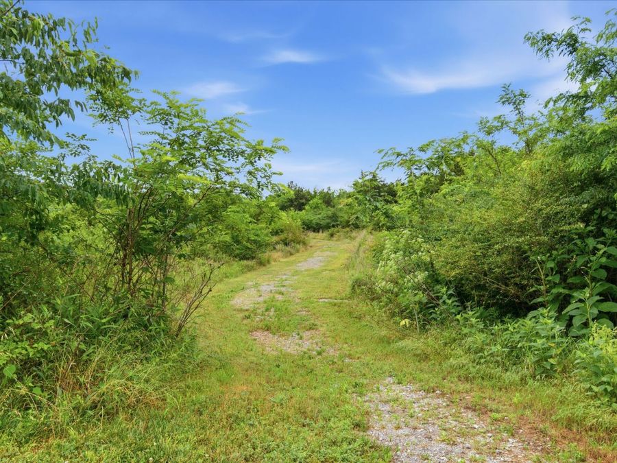 Property Image 37