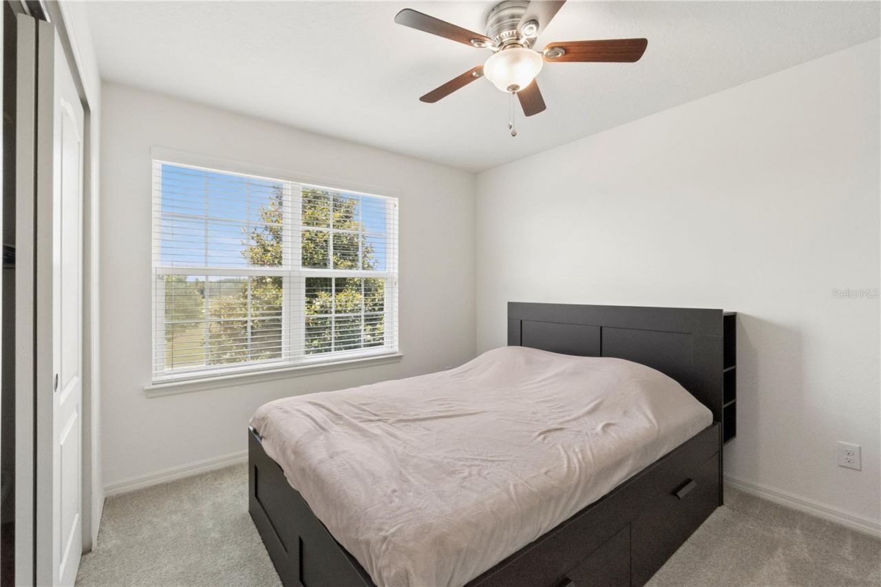13730 Calera Alley , Windermere, FL 34786 Photo