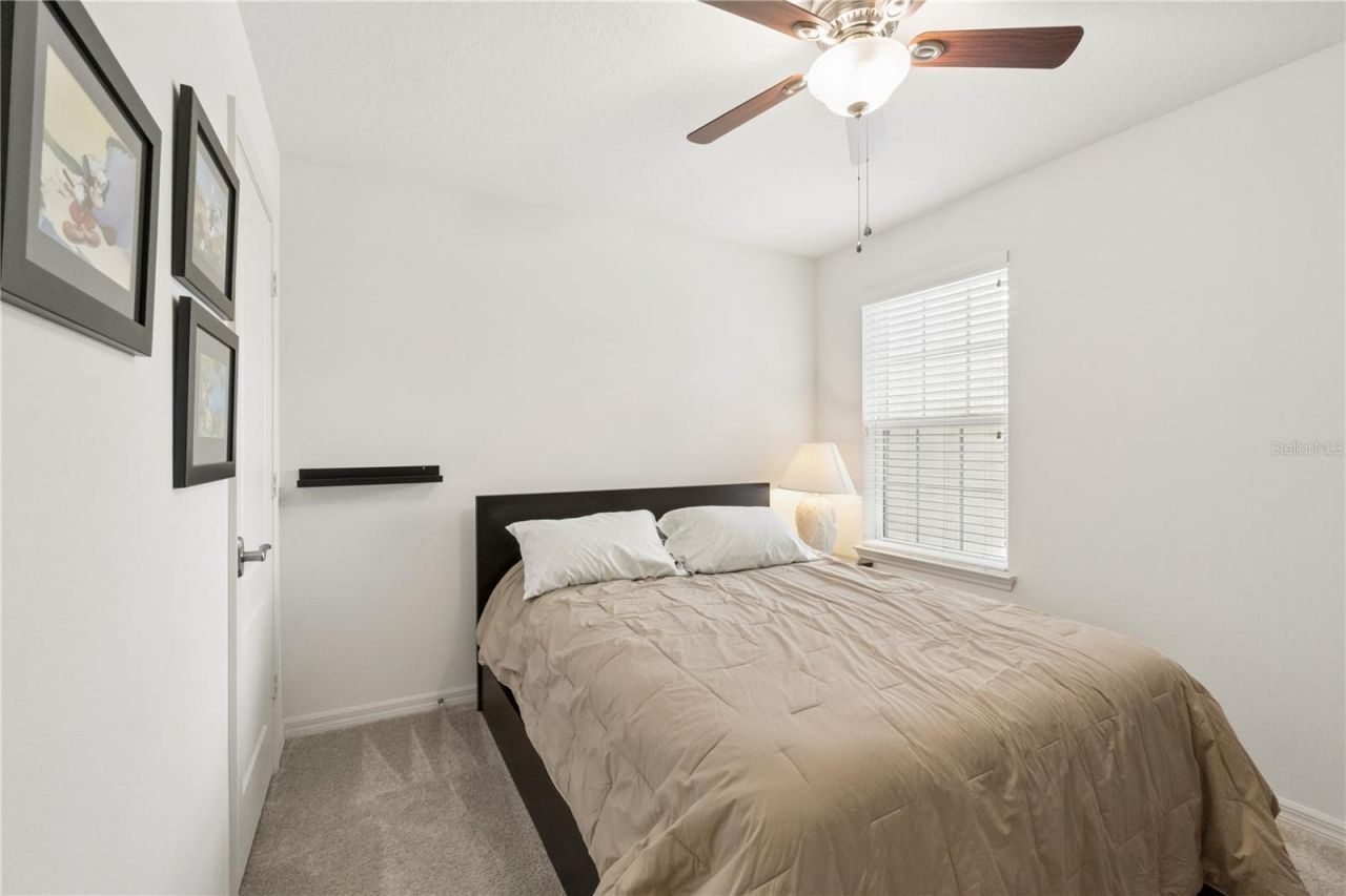 13730 Calera Alley , Windermere, FL 34786 Photo