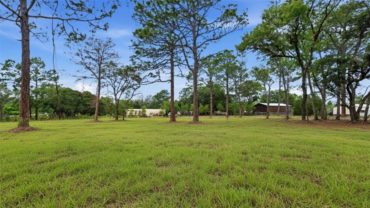 Please Call For Address, Dunnellon, FL 34433 Photo