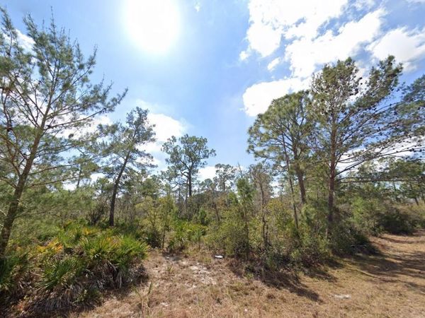 3049 CEDAR HILL AVENUE , LAKE PLACID, FL 33852