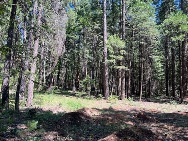 0 EASTWOOD WAY, Shingletown, CA 96088