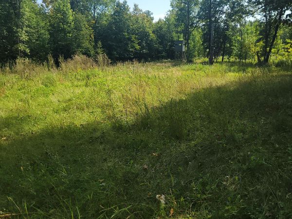 TBD Jeff Lake Road , Richville, MN 56576