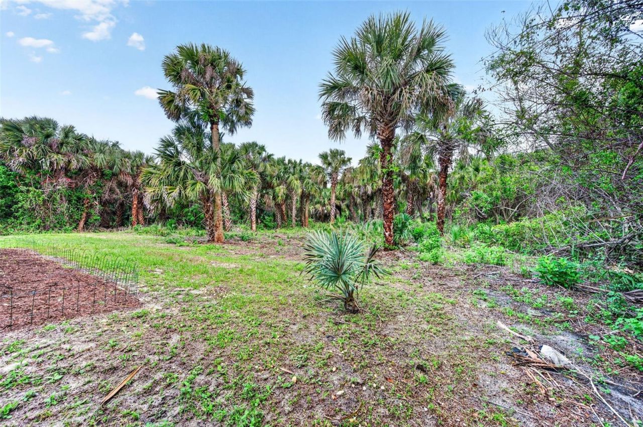 831 Owl Street Sw, Palm Bay, FL 32908 Photo